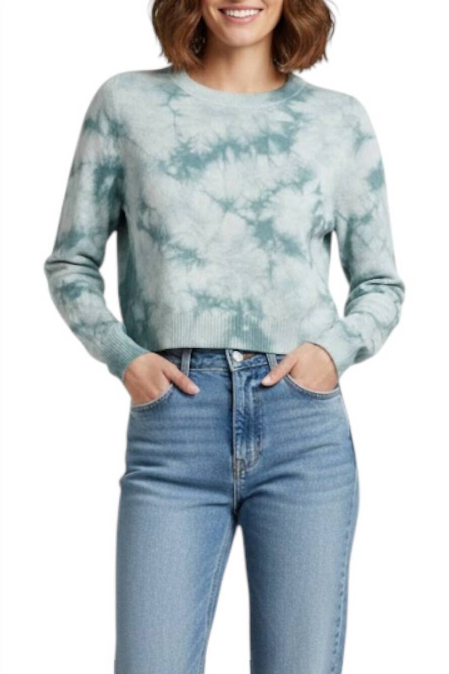 NEW JOOSTRICOT long sleeve crop crewneck top in ice